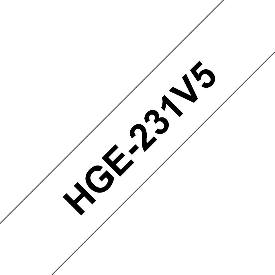 HGe-231V5