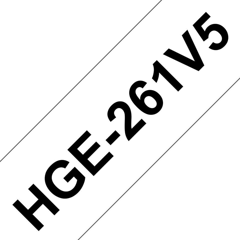 HGe-261V5