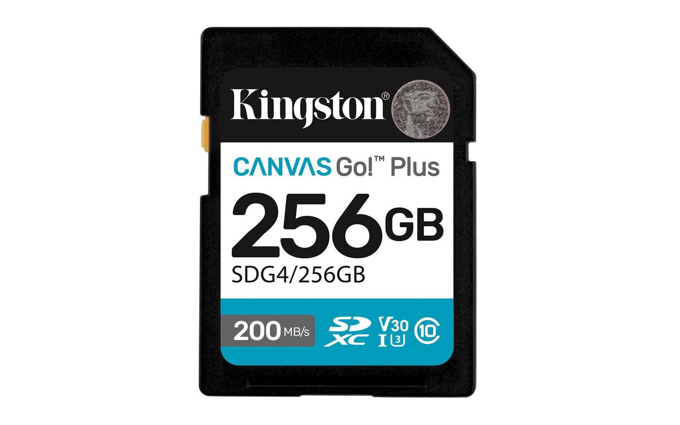 Canvas Go! Plus 256Gb Sdxc