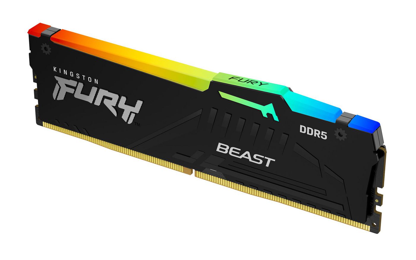 Fury Beast 32Gb 5600Mt/S Ddr5
