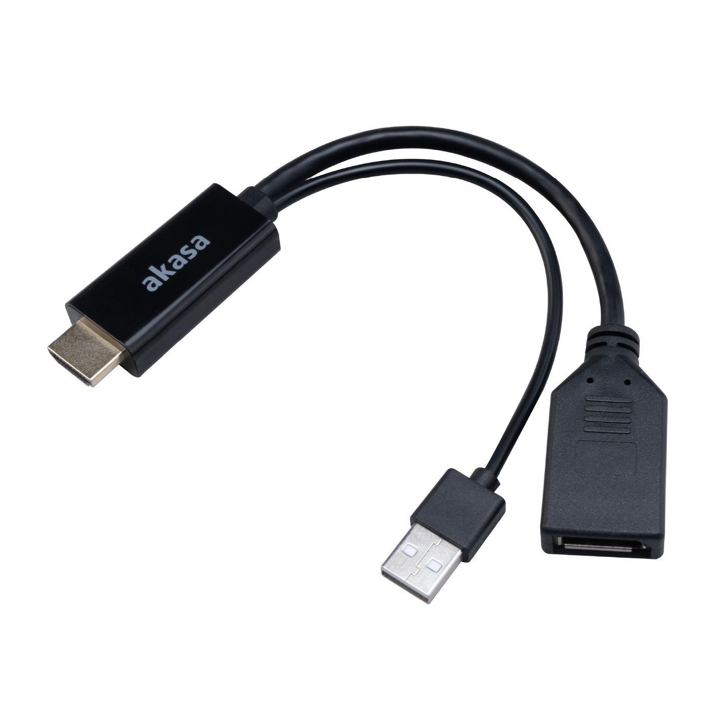 Hdmi To Displayport Adapter - AK-CBHD24-25BK