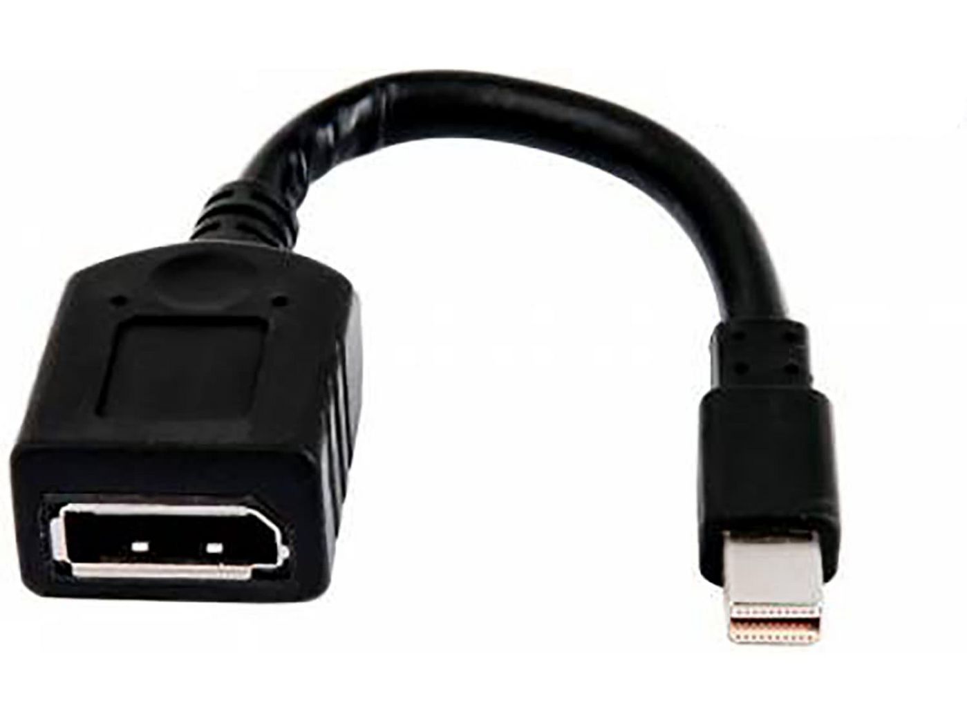Bulk 12 miniDP-to-DP Adapter