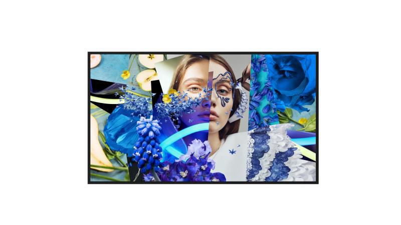 DS-D6065UN-DP, 65-inch UHD