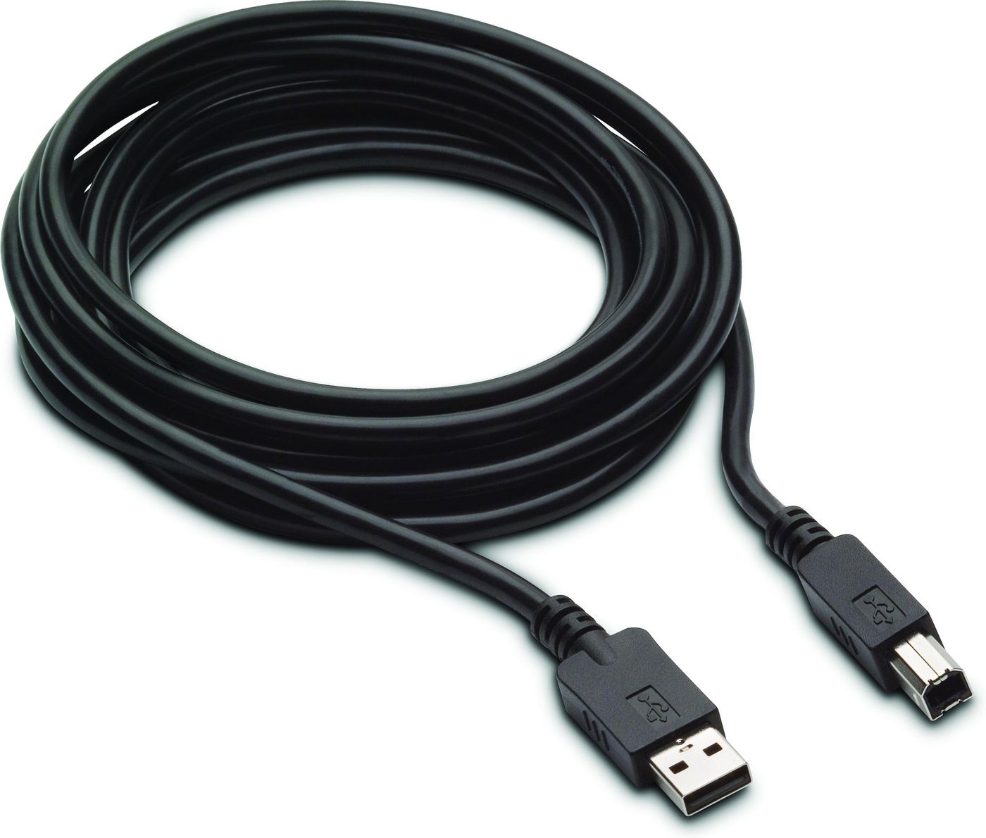 300cm DP+USB B-A CABLES