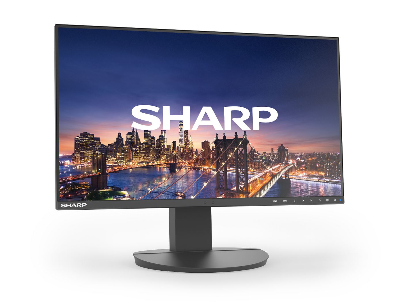 EA242F, 24" LCD Monitor,