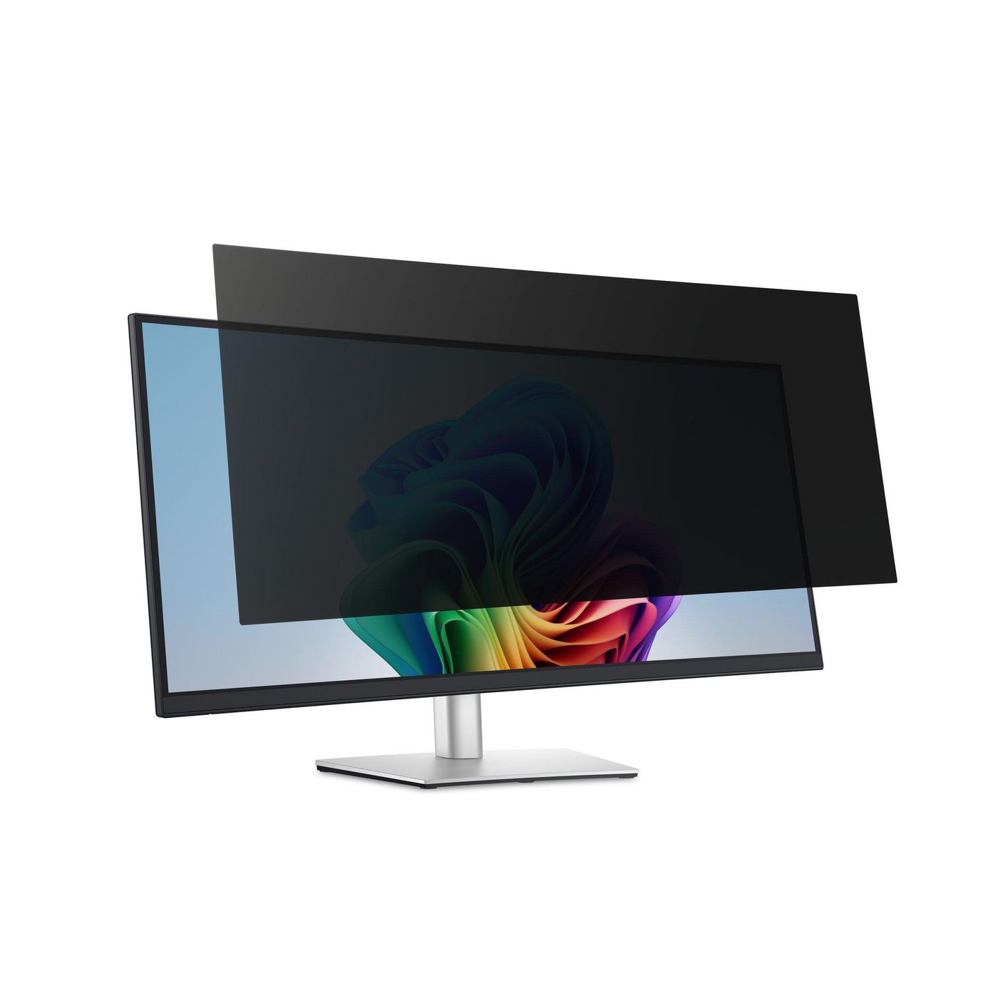Privacy Filter Monitor 34"