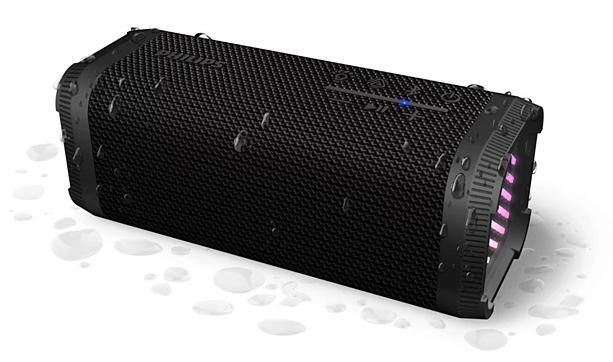 Portable/Party Speaker 2.1