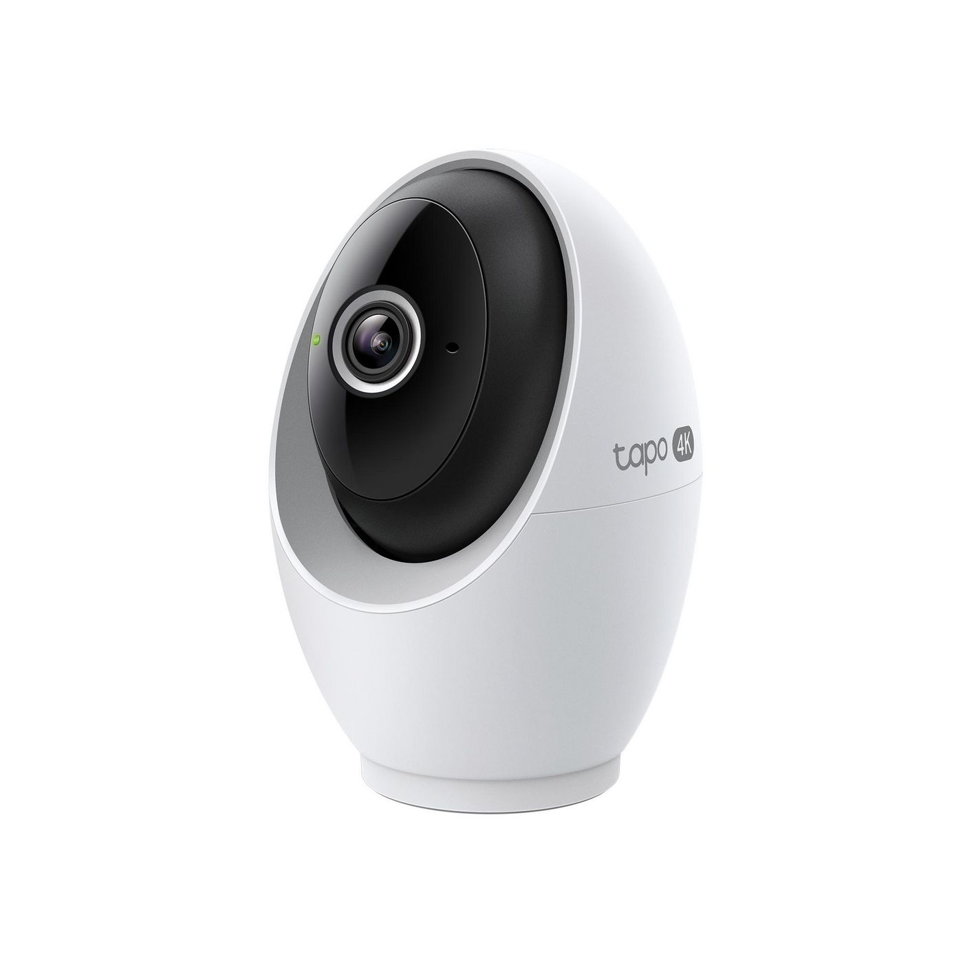 Pan/Tilt AI Home Security