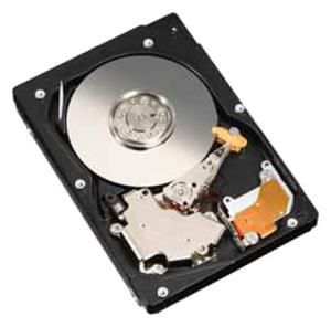 73GB 15K 2.5" SAS DRIVE