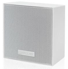 White 25W/8oh 15W/100V