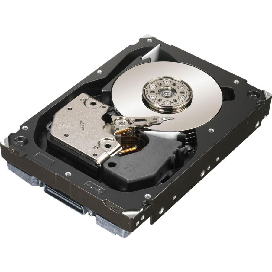 300GB,3.5in 15K DP SAS,6G NHP