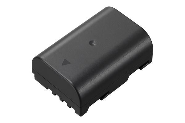 Panasonic DMW-BLF19E Battery for Grip GH3 