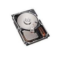 73GB SAS 10K RPM 2,5" HOTSWAP