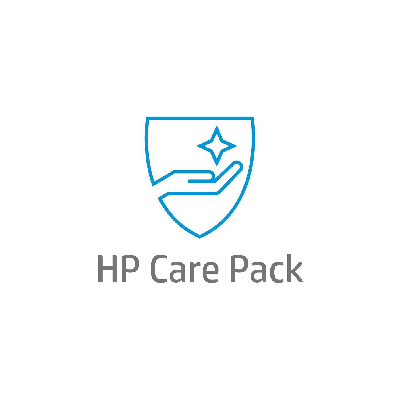 HP Care Pack Next Business Day Channel Remote and Parts Exchange Service Post Warranty - Serviceerwe