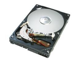 SATA II da 160 GB 7200 giri/min 8 MB