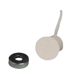 White Miniature Contact with