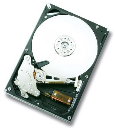 1TB SATAII 32MB, RAID