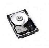 300GB FC 10K HS - 73P8005-RFB