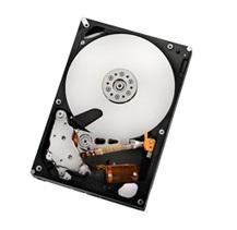 HGST 0F10452-RFB 2TB SATAII 32MB, RAID 