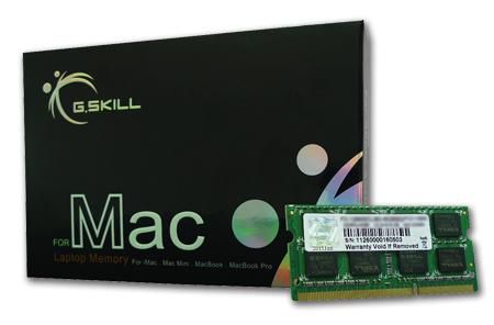 GSkill FA-8500CL7S-4GBSQ 4GB DDR3-1066 SQ MAC 