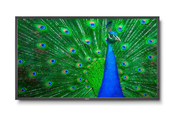 MultiSync C651Q 65" Display