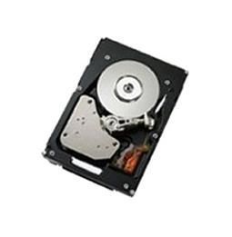 2TB 3.5" SAS 7.2K SS HDD