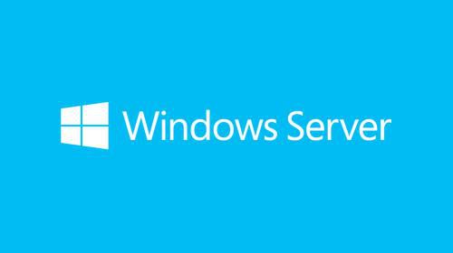 MICROSOFT Windows Server 2019 User CAL 5 Benutzer (UK)