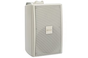 Wall Mount Cabinet Speaker