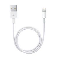Apple Lightning to USB cable (0.5m) - W124862993