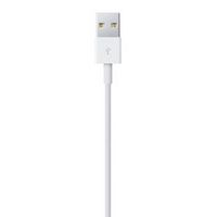 Apple Lightning to USB cable (0.5m) - W124862993