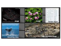 Sharp/NEC Hiperwall Display Licenses Subscription, Fault Tolerant Edition, Updates for 1 year - W125450366