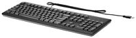 HP USB Keyboard for PC US INT - W124669972