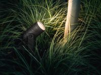Philips by Signify Hue White and colour ambience Lily Outdoor spot light LED integrated Smart control with Hue bridge* - W124338978