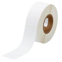 Brady 3" Core Polyester Autoclave and Cryogenic Labels - W126064684