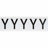 Brady 2" Character Height Black on White Outdoor Numbers and Letters, Y - W126065921
