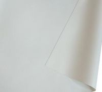 ORAY Nomaddict 1, Toile seule blanc mat, 16:9, 150 x 266 cm - W126093586