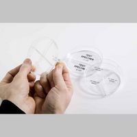 Brady B33 Series Clear Polyester with Permanent Acrylic Adhesive Labels, 500 Labels, Gloss, Clear - W126063786