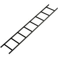 Black Box Ladder Rack, 6'L x 12"W (1.8 m x 30.5 cm), Black - W126134904