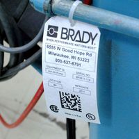 Brady White Non-Adhesive Continuous Tags for BBP3X/S3XXX/i3300 Printers 64 mm X 15.24 m - W126063783