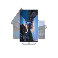 Dell UltraSharp 24 Monitor - U2422H - 60.47cm (23.8") - W126189003