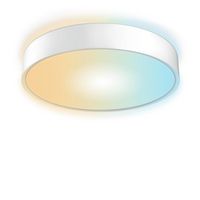 INNR Lighting Warm-to-cool white, 2500 lm, 2200-5000 K, 64x LED, 110°, 28 (180) W, Zigbee 3.0, 410 x 72 mm - W126140708