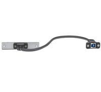 Extron USB A to USB B, Female to Female, Black - W125782410
