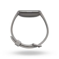 Fitbit Versa 2 Stone/Mist Grey Aluminium - W126688265