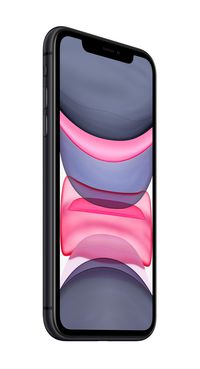 Apple iPhone 11 15.5 cm (6.1") Dual SIM iOS 14 4G 64 GB Black - W126984280