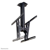 Neomounts Neomounts by Newstar TV/Monitor Ceiling Mount for Dual 37"-75" Screens (Back to Back), Height Adjustable - Black - W124868694