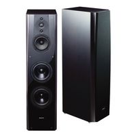 Sony ARES-Front Speaker - W125488117