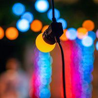 Twinkly Twinkly Festoon – App-controlled LED Bulb String with 40 RGB (16 million colors) LEDs - W127223914