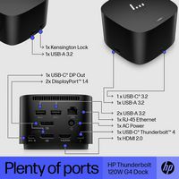 HP Thunderbolt Dock 120W G4 - W126919410