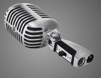 Shure 55Sh Grey Studio Microphone - W128281562
