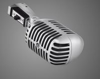 Shure 55Sh Grey Studio Microphone - W128281562